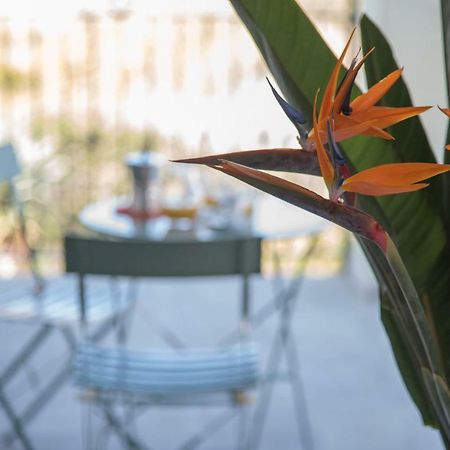 La Strelitzia Cervo Mare Appartement Buitenkant foto